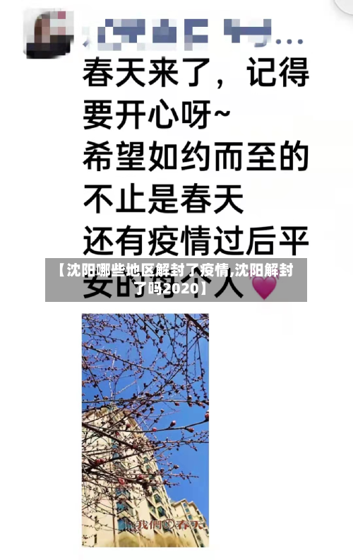 【沈阳哪些地区解封了疫情,沈阳解封了吗2020】-第2张图片