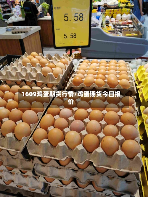 1609鸡蛋期货行情/鸡蛋期货今日报价-第1张图片