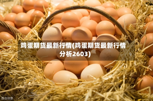 鸡蛋期货最新行情(鸡蛋期货最新行情分析2603)-第1张图片