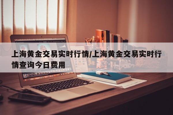 上海黄金交易实时行情/上海黄金交易实时行情查询今日费用